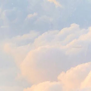 Meet your Posher, Shamijah